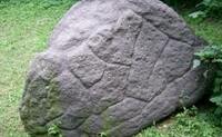 020052p2-ccb9.jpg