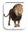 0200532v-f35a-147x171.png