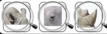 0200533m-b0a4.png