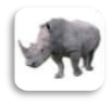0200534f-b3c0-120x113.png