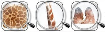 0200535s-6b38.png