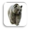 0200538s-55b0-120x121.png