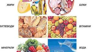  Хімічний склад продуктів харчування 
