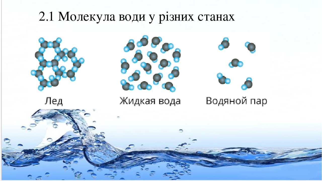 Дослідження якості води з різних джерел проект