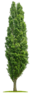 020053oc-0535-36x93.png