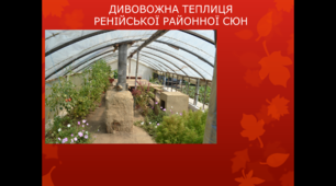 ДИВОВОЖНА ТЕПЛИЦЯ РЕНІЙСЬКОЇ РАЙОННОЇ СЮН