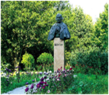 0200553j-4bc9-221x194.png