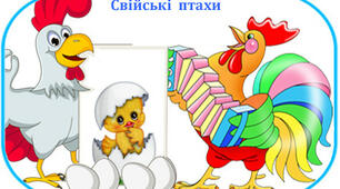 Свійські птахи та їх дитинчата. Картинки