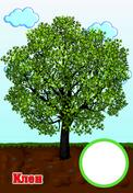 020055x1-a1bc-122x176.jpg
