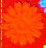 020057fl-59ad.jpg