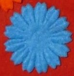 020057g3-611f.jpg