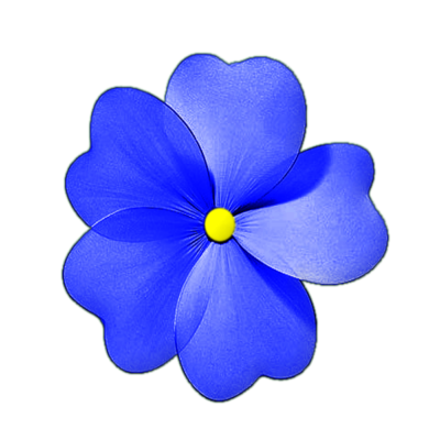 020058fi-61f1.png