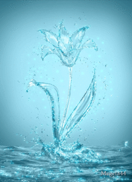020058s5-9886-262x361.gif