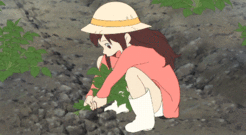 020058vd-2135-246x135.gif