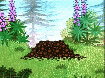 020058vv-9122.gif