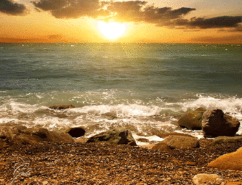 0200590w-d683-352x270.gif