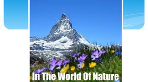The World of Nature