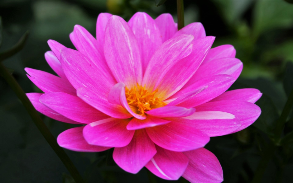 020059zd-7f10-940x588.png
