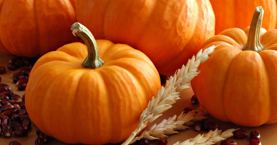02005a0c-7927-940x492.png