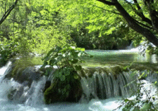 02005a72-b8a6-224x158.gif