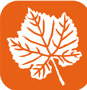 02005bdk-9611.png