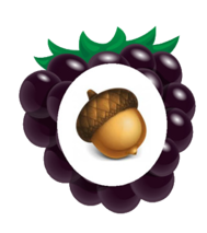 02005d40-41af-189x213.png