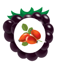02005d45-56a8-196x222.png