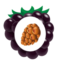 02005d4b-2dea-207x223.png