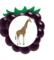 02005d4j-b862-183x206.png