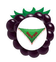 02005d4l-98ef-187x209.png