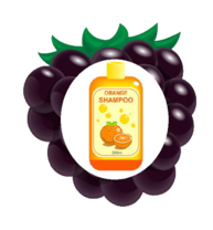 02005d4s-6e2f-193x208.png