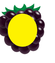 02005d4y-b023-182x206.png