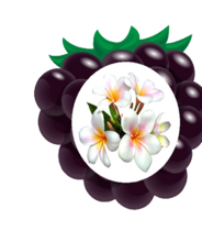 02005d57-a63d-184x210.png