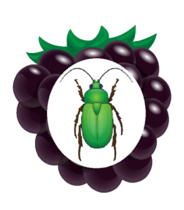 02005d5e-5756-184x210.png