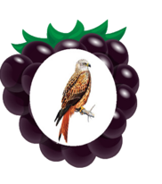 02005d5g-a257-182x206.png