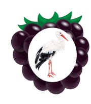 02005d5m-f914-179x204.png