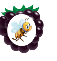 02005d6f-d827-190x205.png