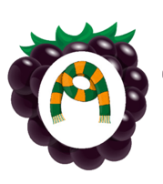 02005d6j-b60f-179x202.png