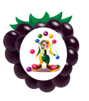 02005d6q-0762-179x202.png