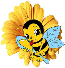 02005e4e-6402.jpg