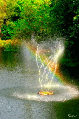 02005e8i-6d23-270x405.gif