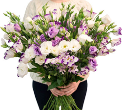 02005ezh-1608-250x224.png