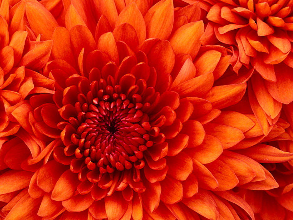02005f3o-9383-940x705.jpg