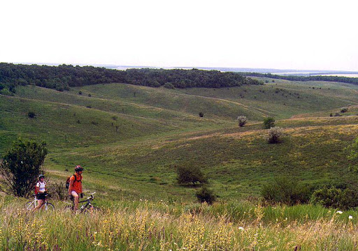 02005fko-20b4.jpg