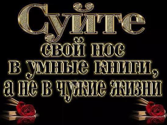 02005g9c-0e69.jpg