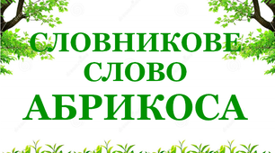 Дидактичний матеріал  "Словник "Сад. Абрикоса"