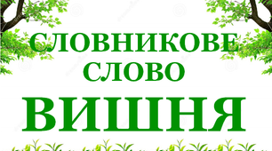Дидактичний матеріал  "Словник "Сад. Вишня"