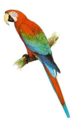 02005hc7-c18e-80x121.png