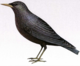 02005hc9-b61e-80x66.png