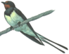 02005hca-d123-98x77.png